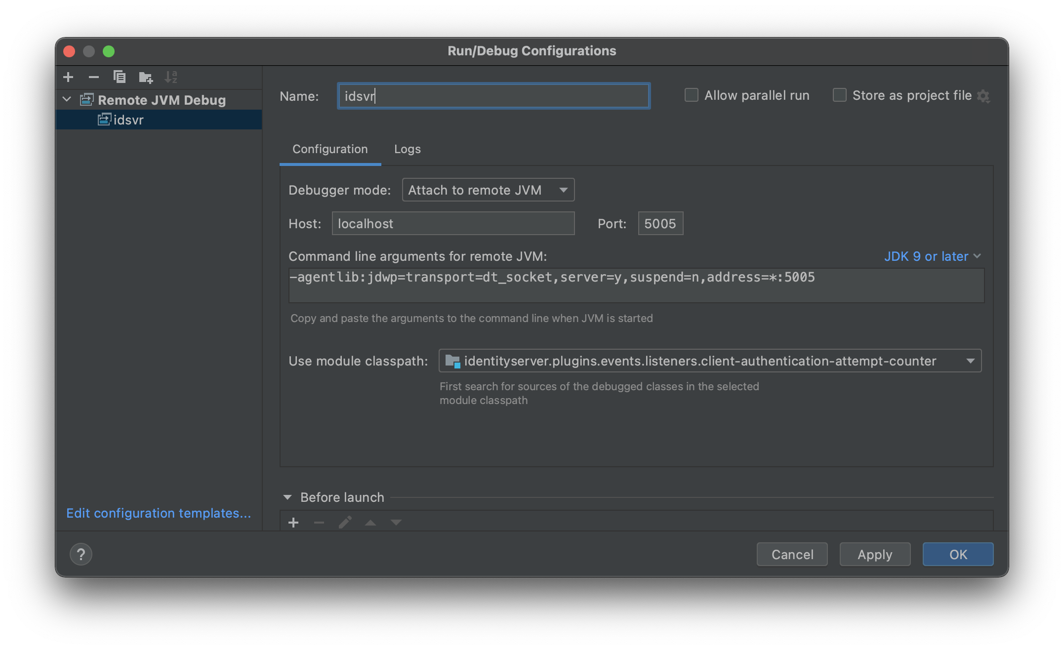IntelliJ Remote Debug Config